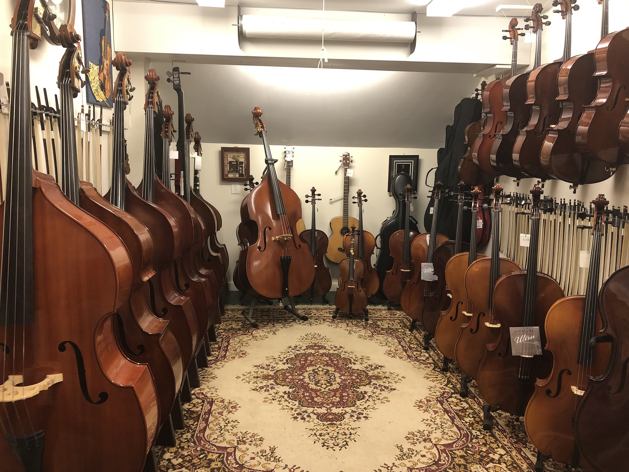Basses and cellos on display
